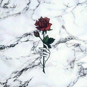 Meet your Posher, Jazmin